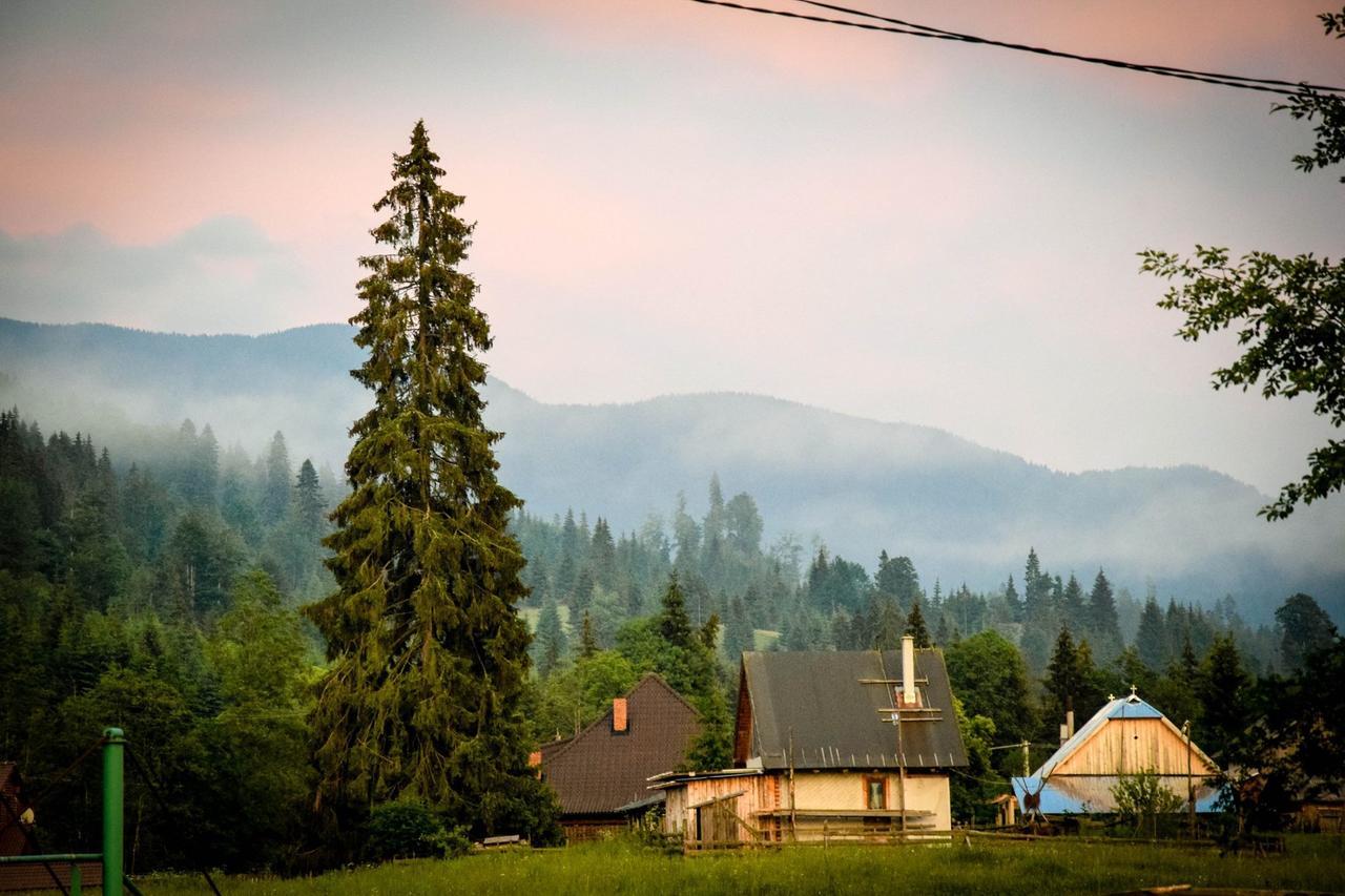 Montana Resort Colibita Luaran gambar